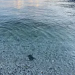 Little Escape * Olgiasca